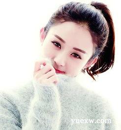 娱乐八卦吃瓜赵丽颖小说免费阅读